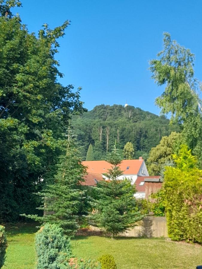 Burghof Apartment
